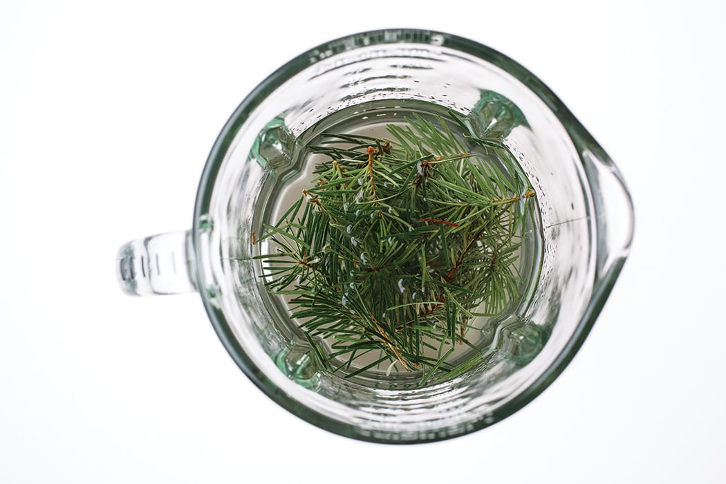 DIY Douglas Fir Liqueur – Imbibe Journal