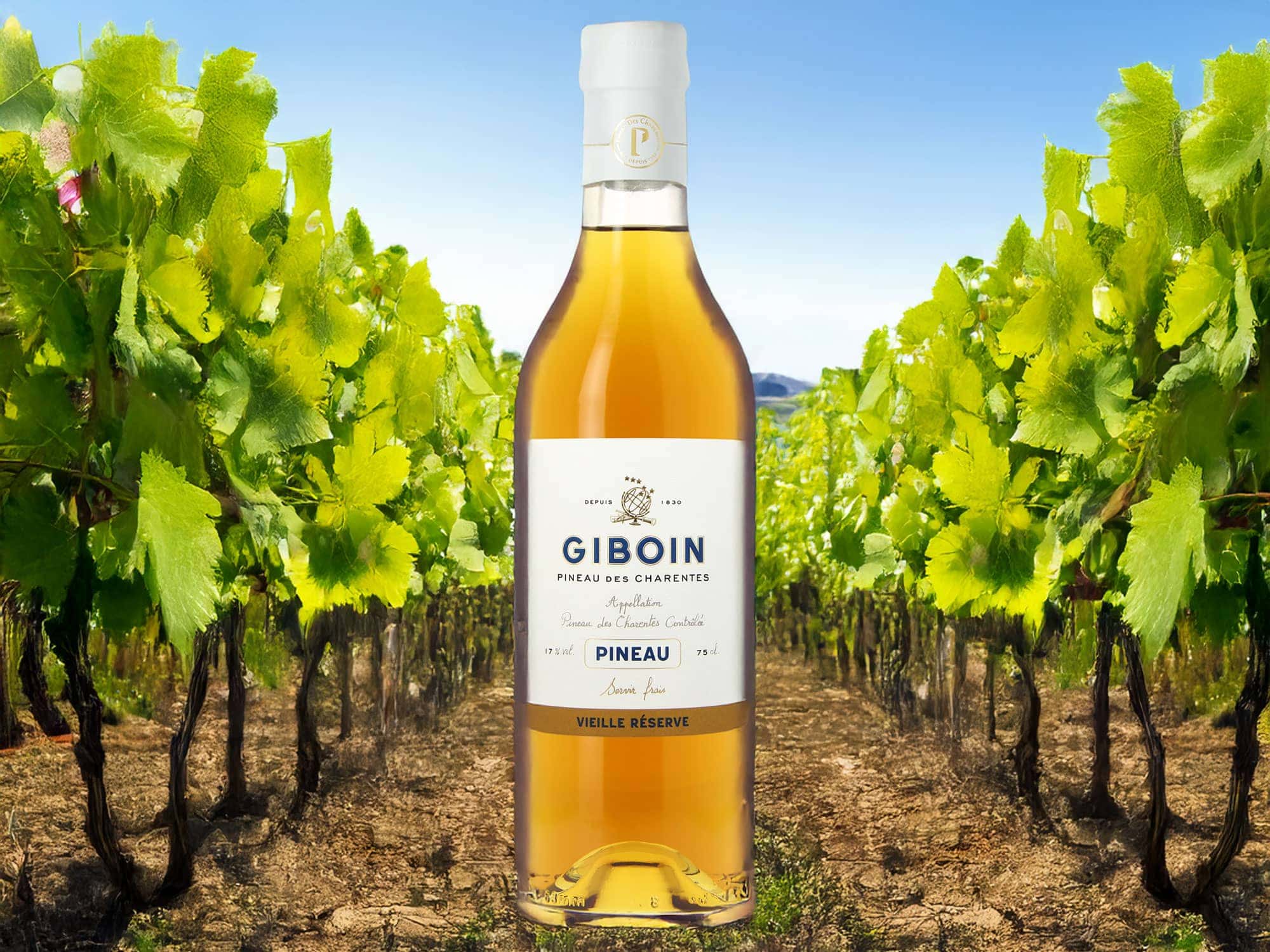 Drink of the Week: Giboin Pineau des Charentes Vieille Réserve